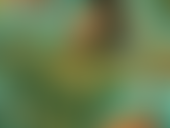 Taylor Swift 新專輯「The Life of a Showgirl」震撼來襲！10月3日全球發行，橙色主題引爆時尚風暴！