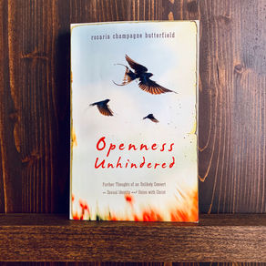Openness Unhindered