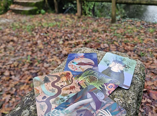 Oraculo forest meditations