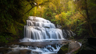 Purakaunui Falls New Zealand Landscape Photography