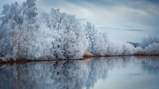 Twizel Hoar frost New Zealand Landscape Prints