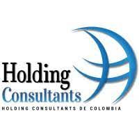 LOGO HOLDING CONSULTANTS
