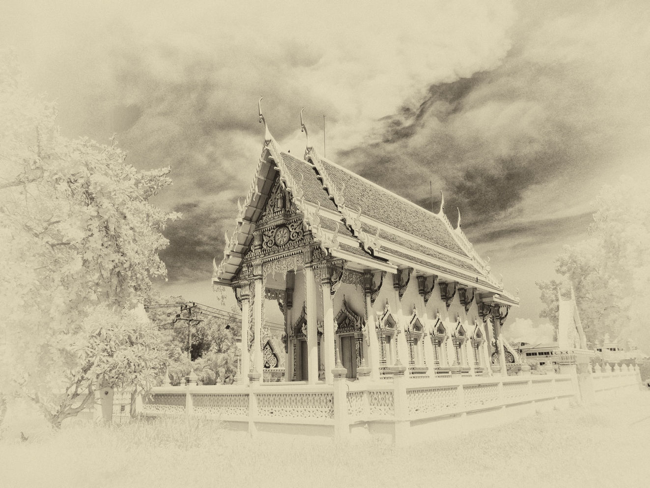 Sepia 4