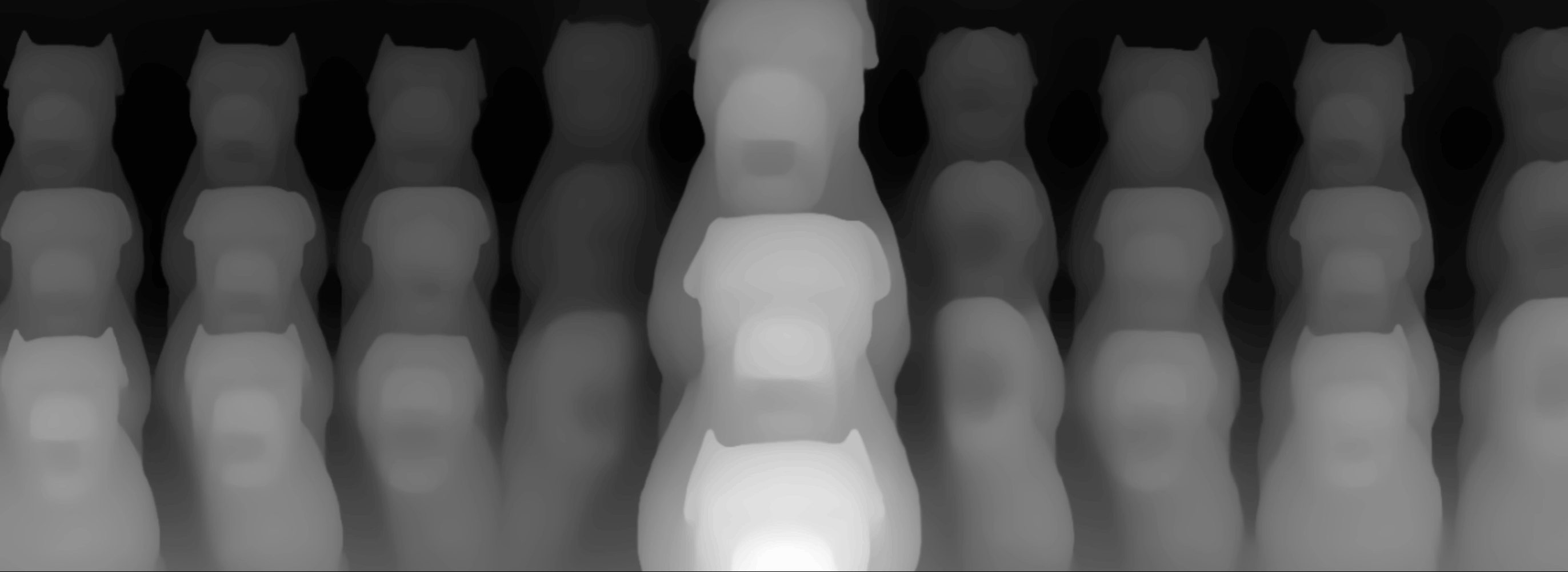 depth-map-dogs.gif