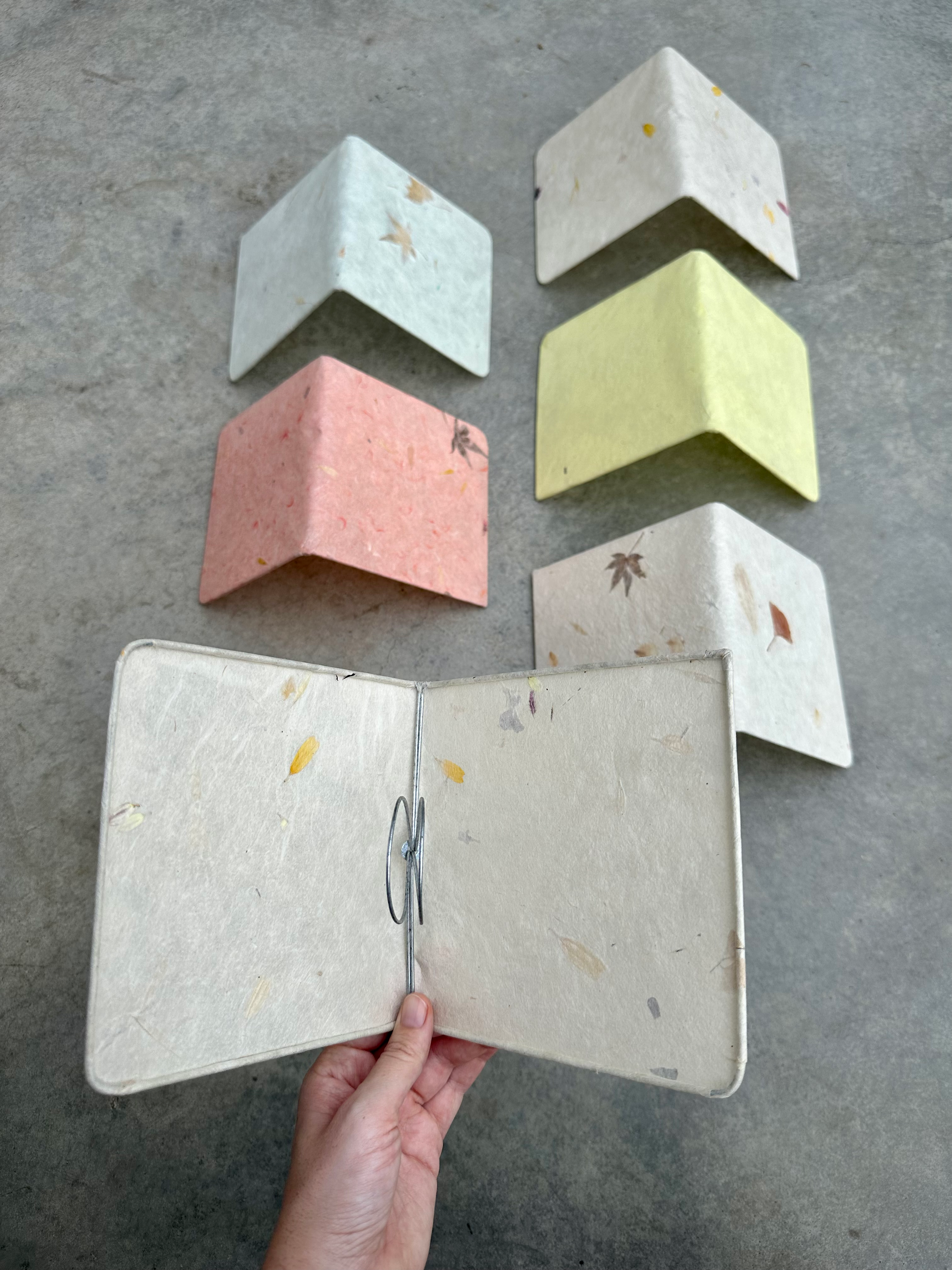 אהיל "ספר" קפיץ