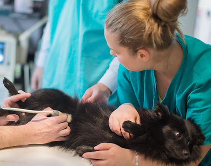 Untitled design - 2025-07-19T133033.720.png