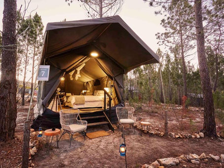 Canvas Collective Africa’s All-Inclusive Romantic Forest Escape