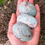 Thumbnail: Amazonite Palm Stone-Large AAA+