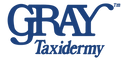 Gray logo Large LARGE 300 BLue.png
