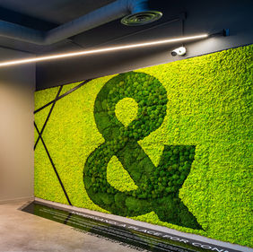 Amp-green-wal-cropped.jpg