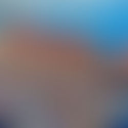 The Top 10 Busiest Ports in the United States: A Detailed Look at Each Port's Role in Global Trade