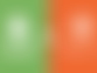 Shopify vs Magento - which is better for selling online?