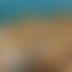 Sea Freight Shipping from China to the UAE - Detailed Guide