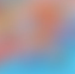 The Journey of Sea Freight: Unloading, Customs Clearance, and Distribution