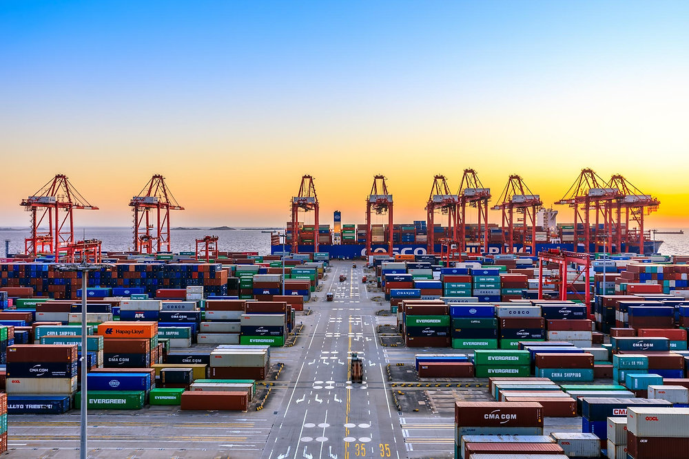 Giant empty container yard opens in the Port of Shanghai CNXtrans