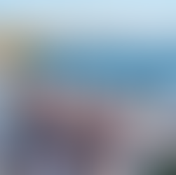 Cosco plans to spend US$3b on 15 methanol-powered ships