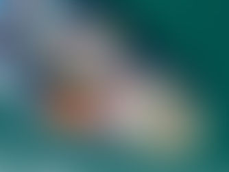 Shipping starting to turn around after two years of snarls