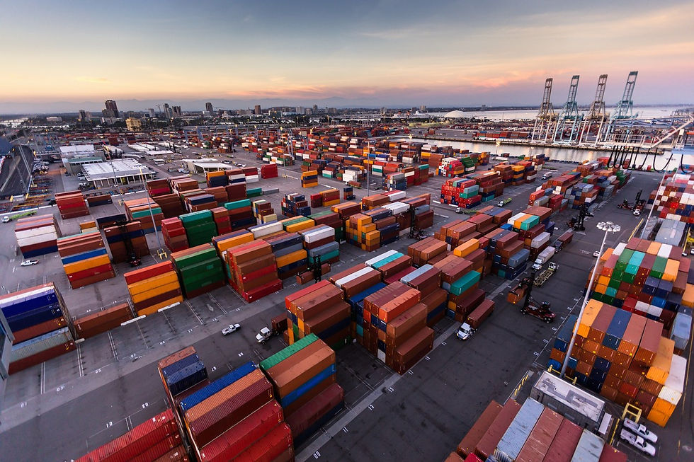 Average container prices and leasing rates plummet in China