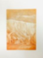 PETRA KALLIO & TARU SALONEN: MURROS