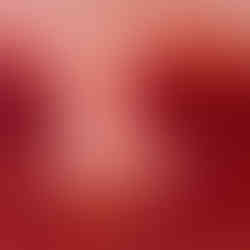 Madonna 2025 / 100x120cm / Oil painting / 2300€