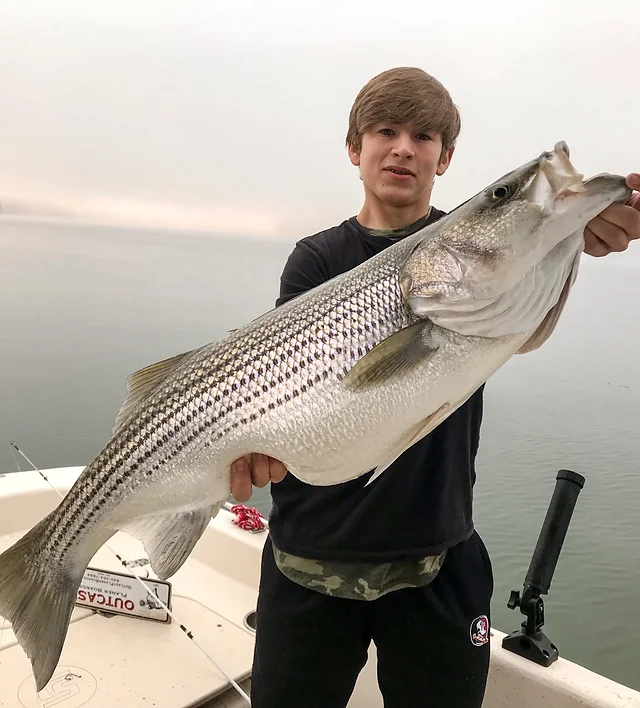 Lake nottely striper fishing clearance