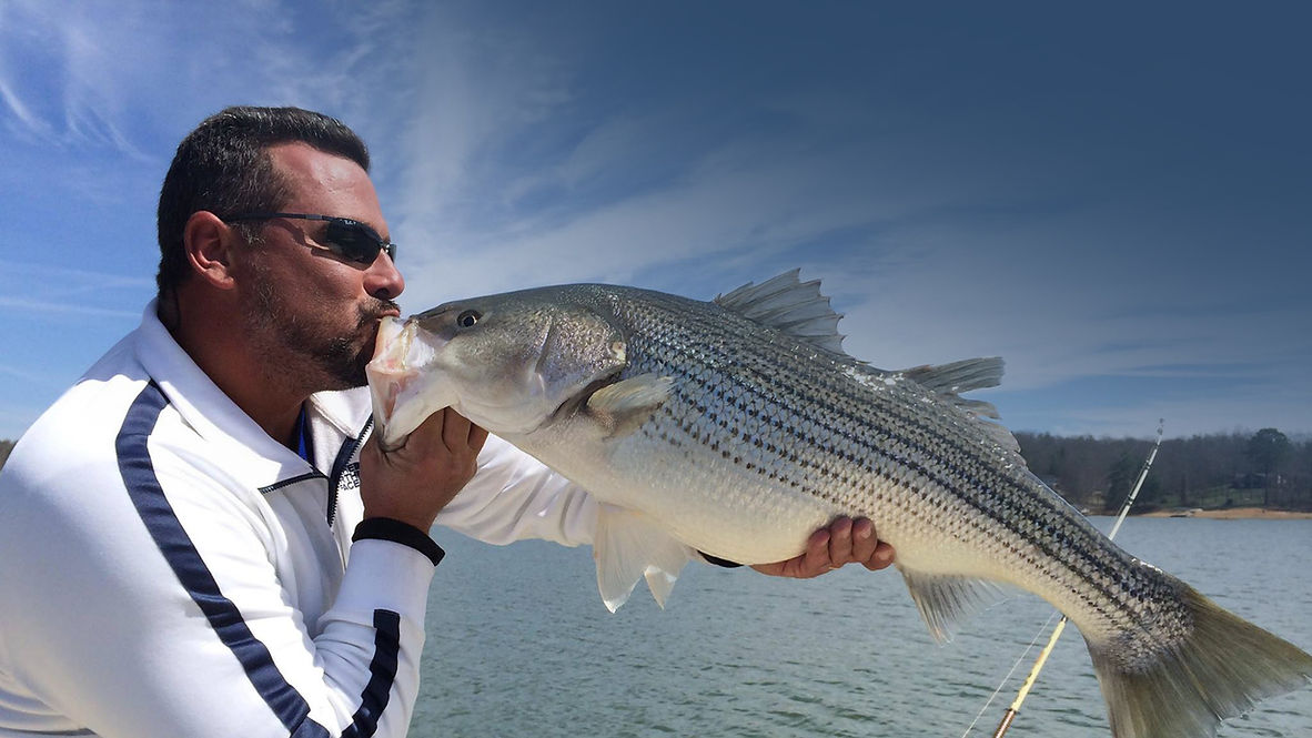 Lake Nottely Fishing Guide and Murphy North Caolina Fishing Guide
