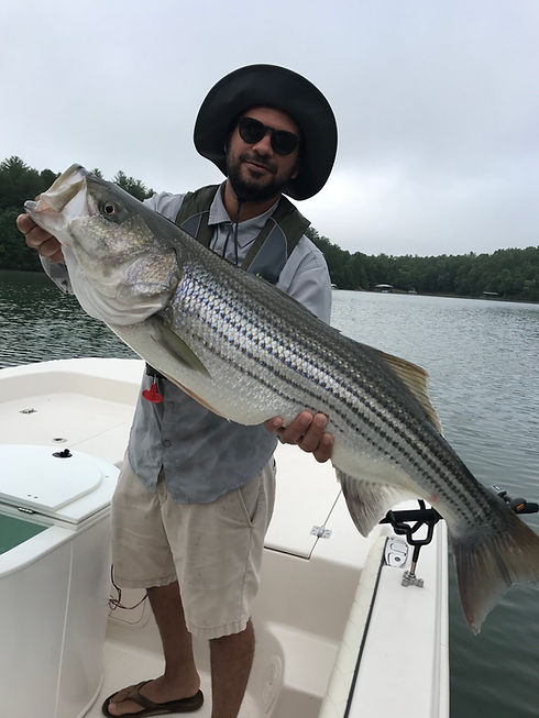 Lake Nottely Fishing