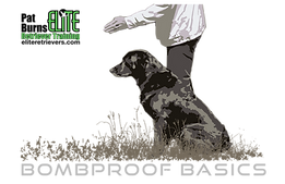 Bombproof Logo 6 (Black).png