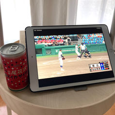 甲子園⚾️