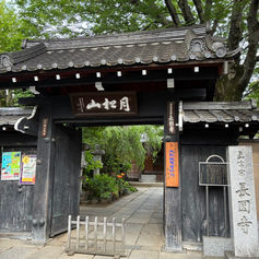 偶然に出会った場所🌿