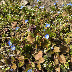 今日から4月🌱