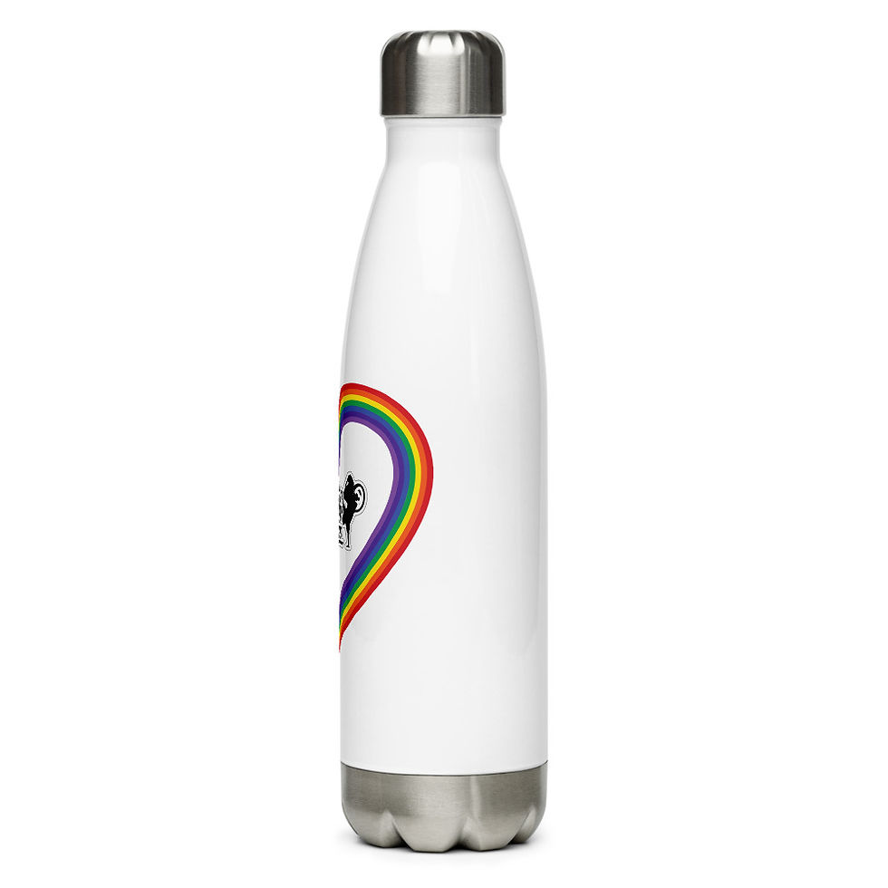 Thumbnail: Stainless Steel SUPA Water Bottle