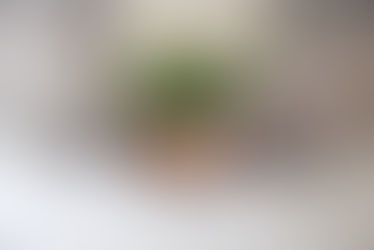 Vendendo casa, molti non guadagnano quanto dovrebbero