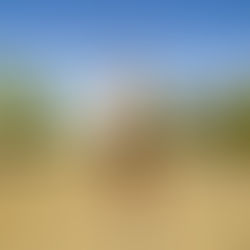 MEET SOPHIA: OWNER & COACH OF "SFS ACTIVE"