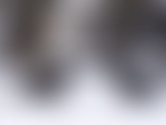 Riga Strip Club Scam 2023