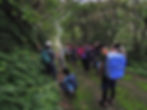 2018.11月 植物観察会