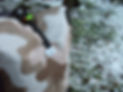 DSCF9249.JPG