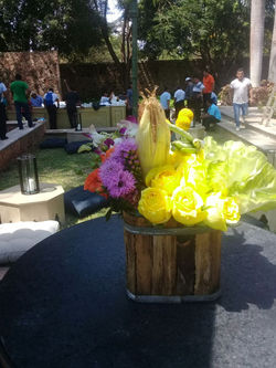merida090318 (12)