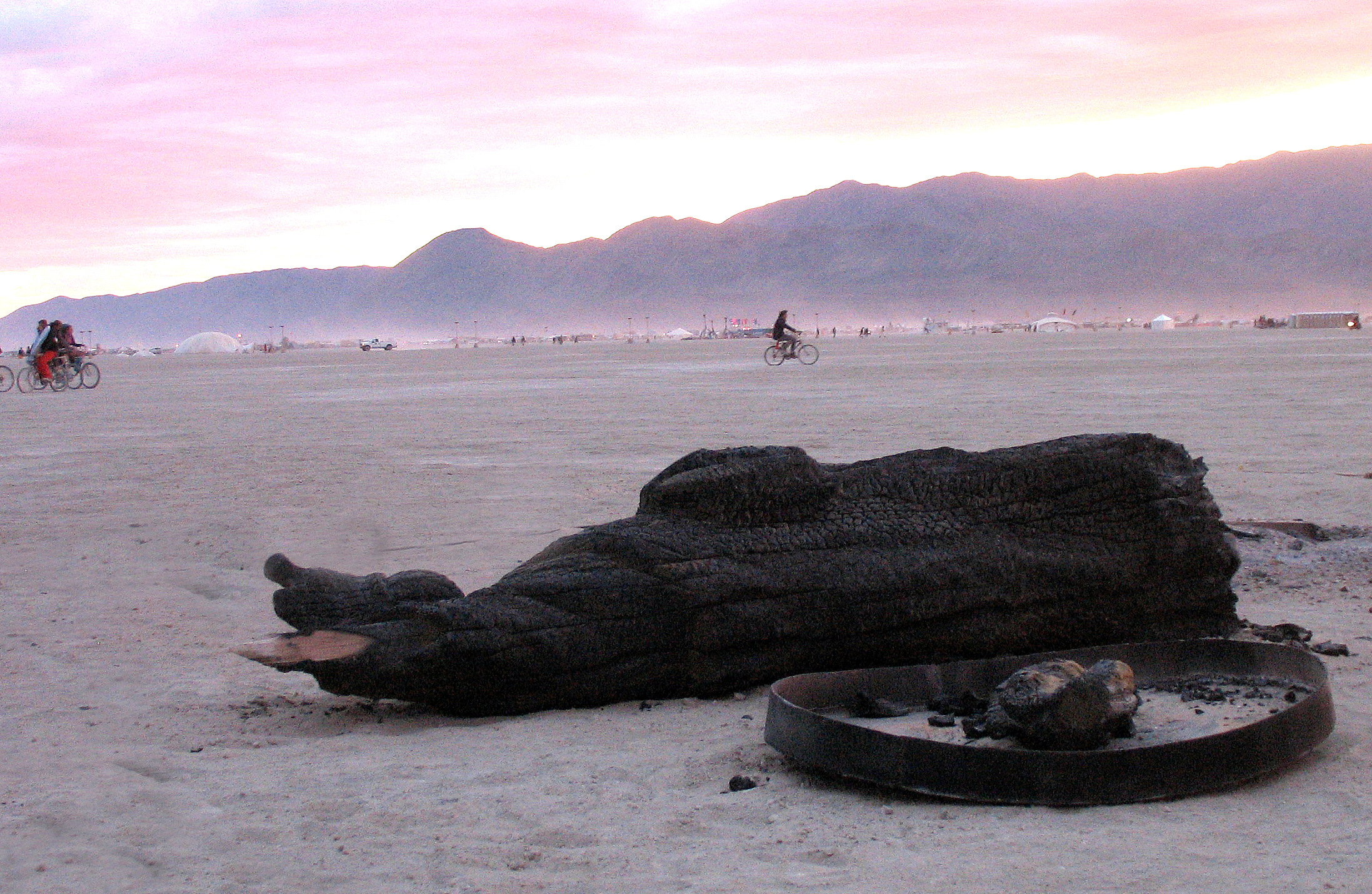 Burning Man '08