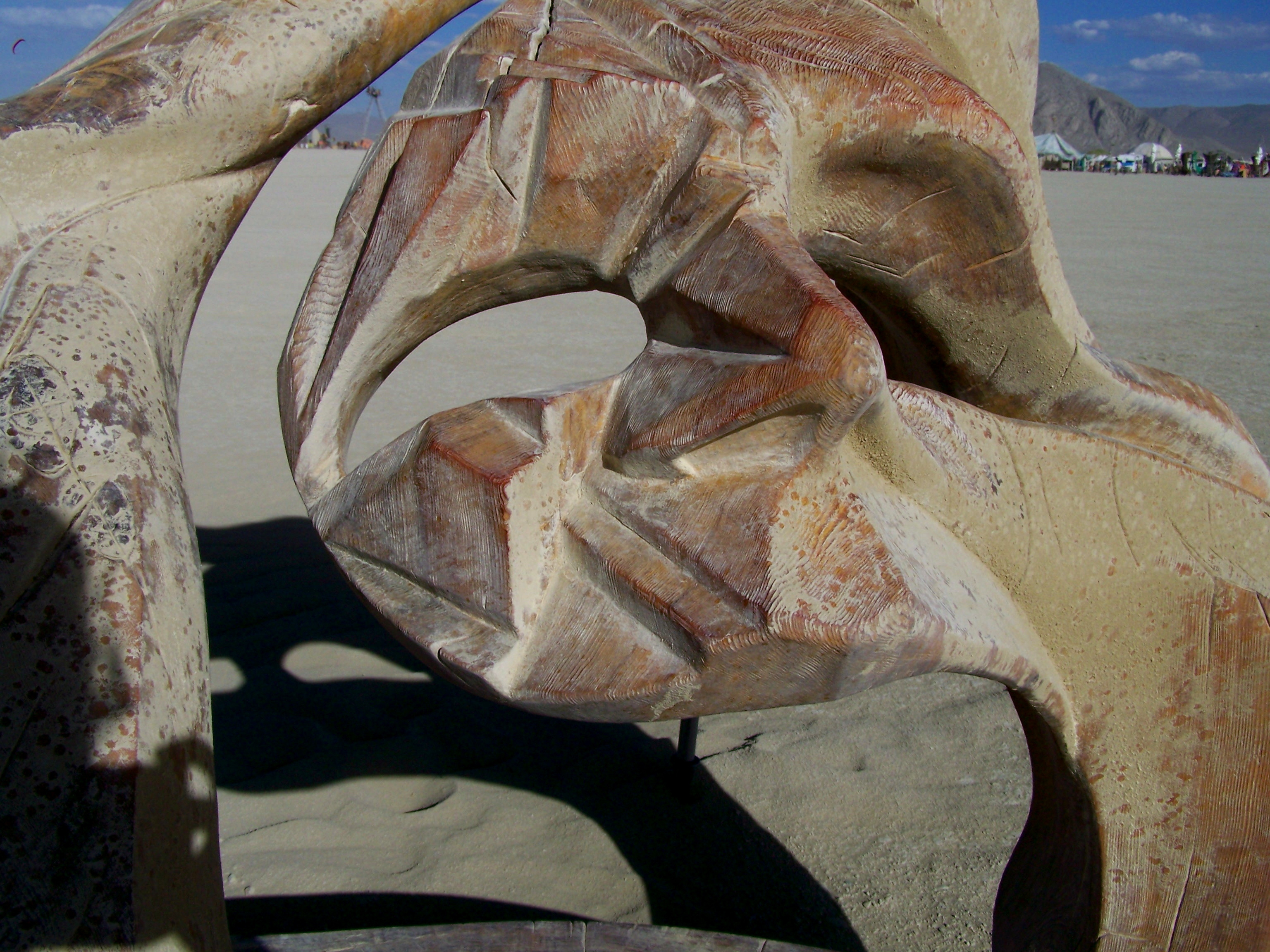 Burning Man '08