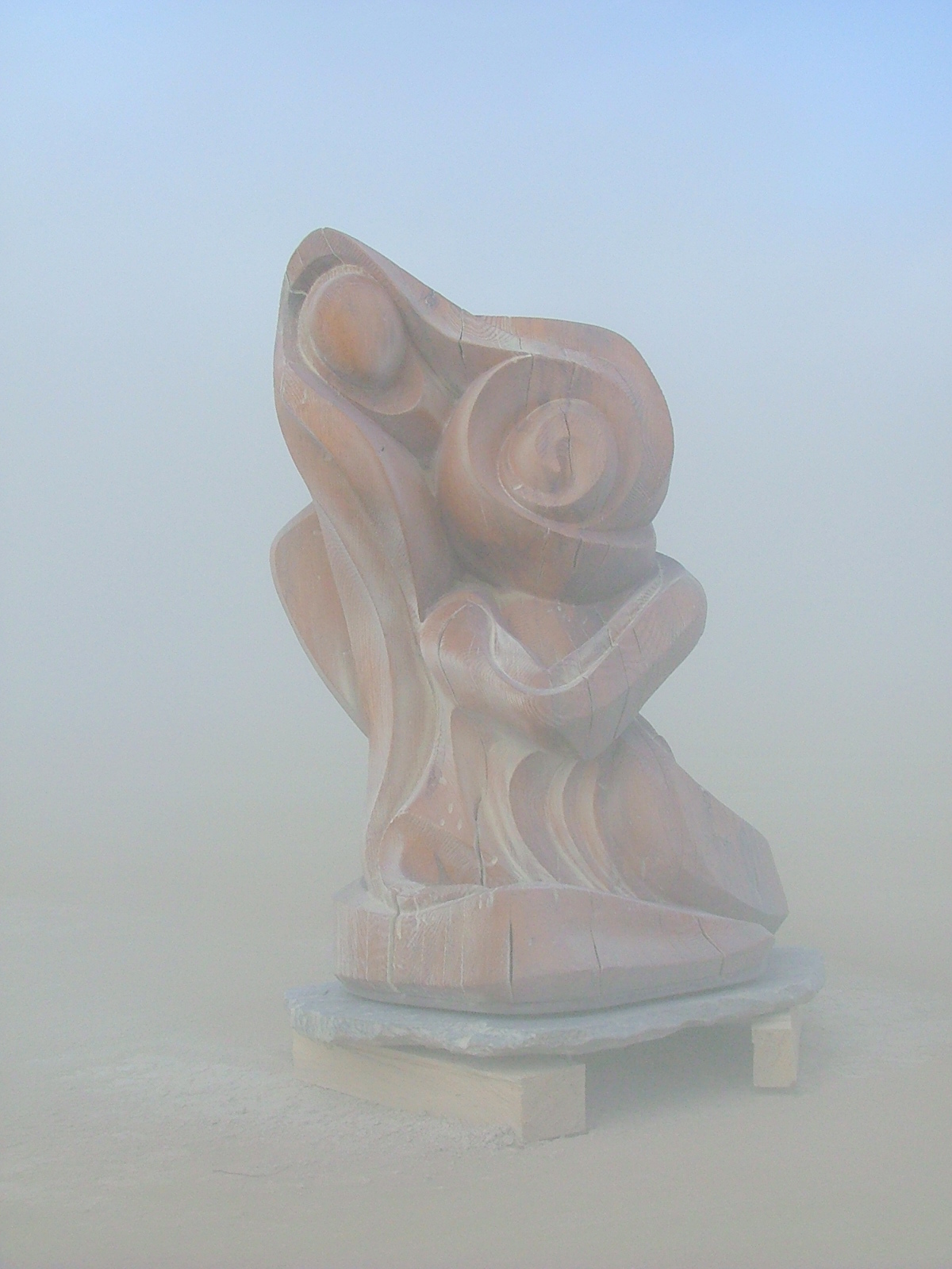 Burning Man '09