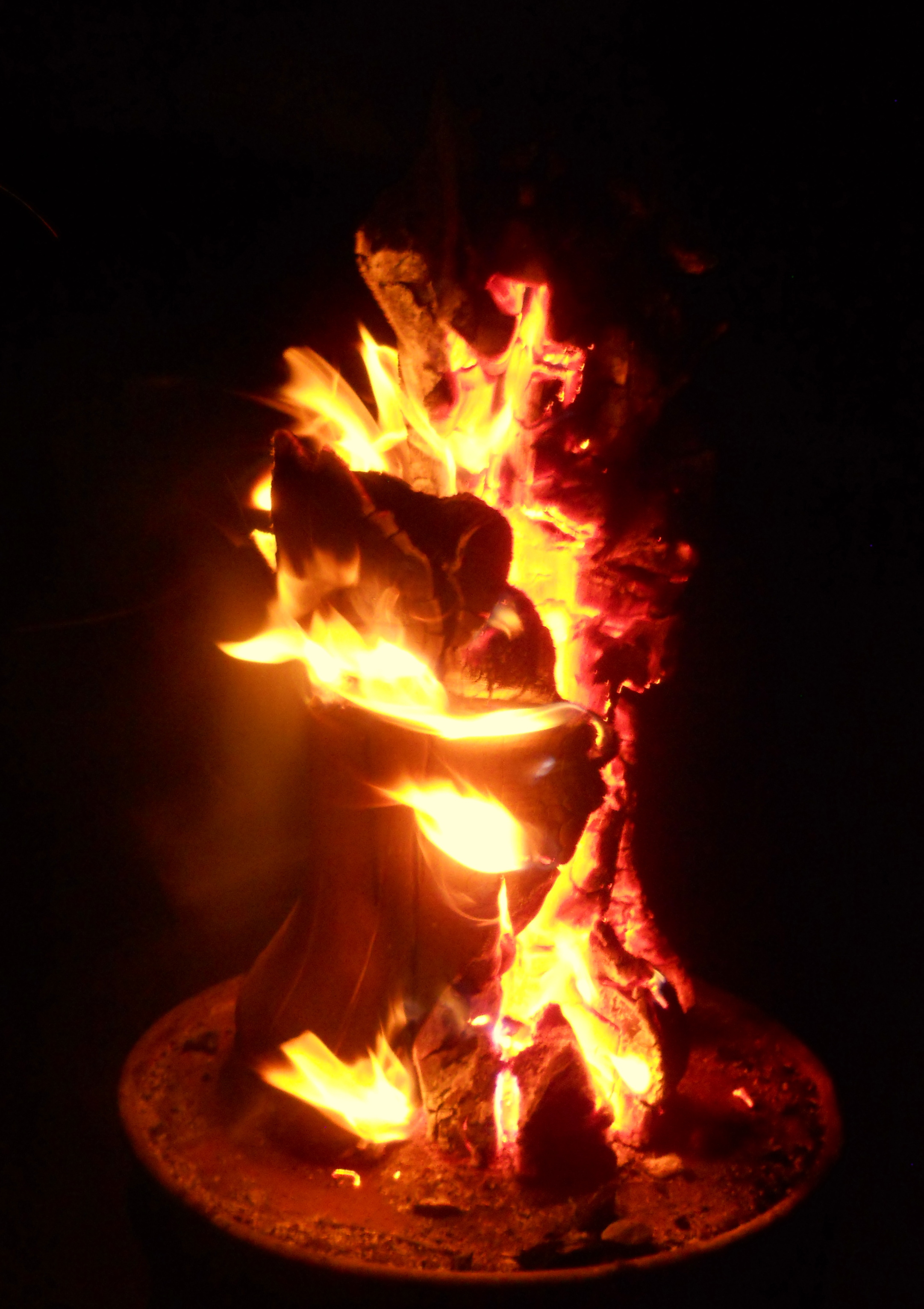 Burning Man '12