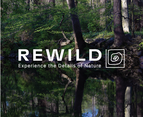 Rewild_WixGallery.png