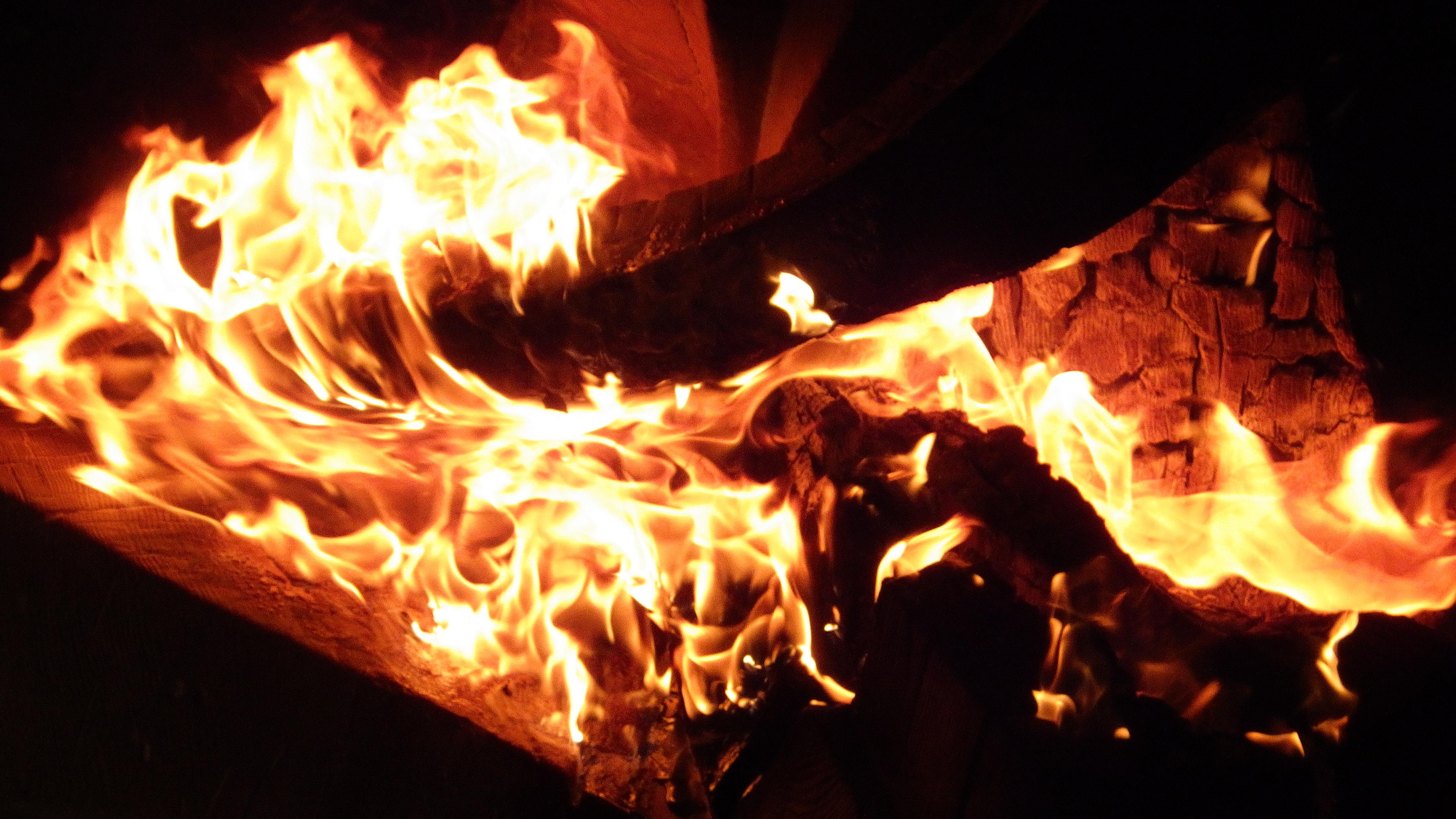 Burning Man '15