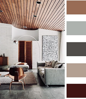 Interior Colors renovations.png