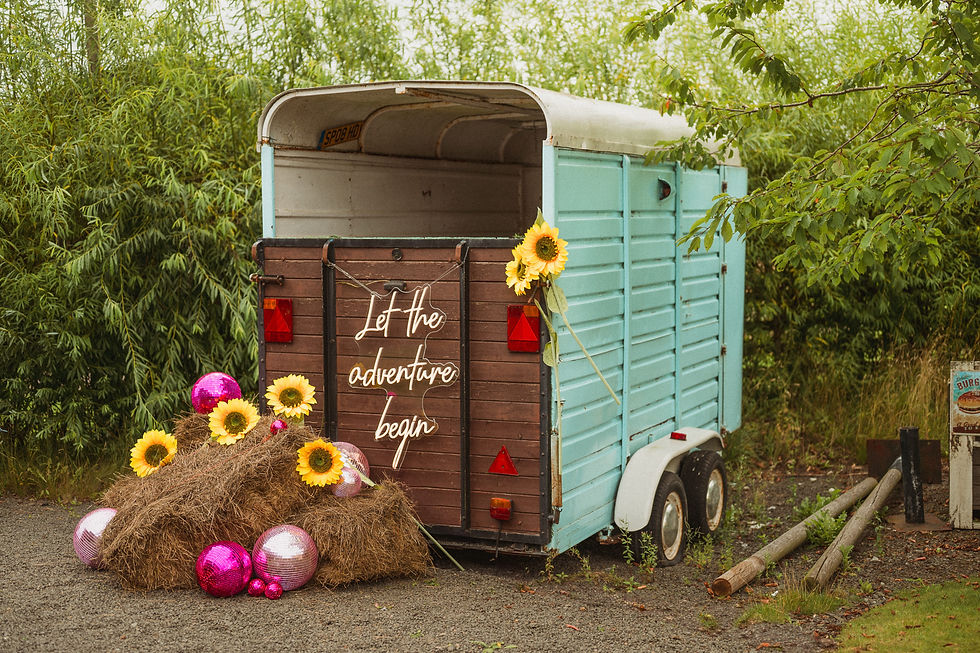 'The Festival' Vallum Farm