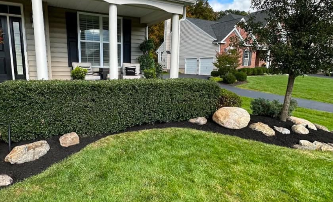 landscaping