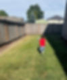 Hendrix Running.jpg