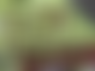 SEPTEMBER in the Dahlia Patch