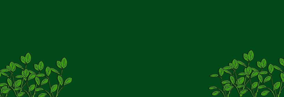 Artboard 12_4x-8.png